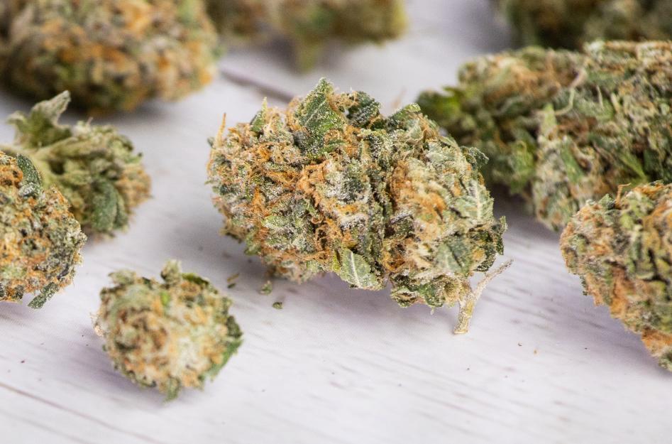 Cannabis flor CBD