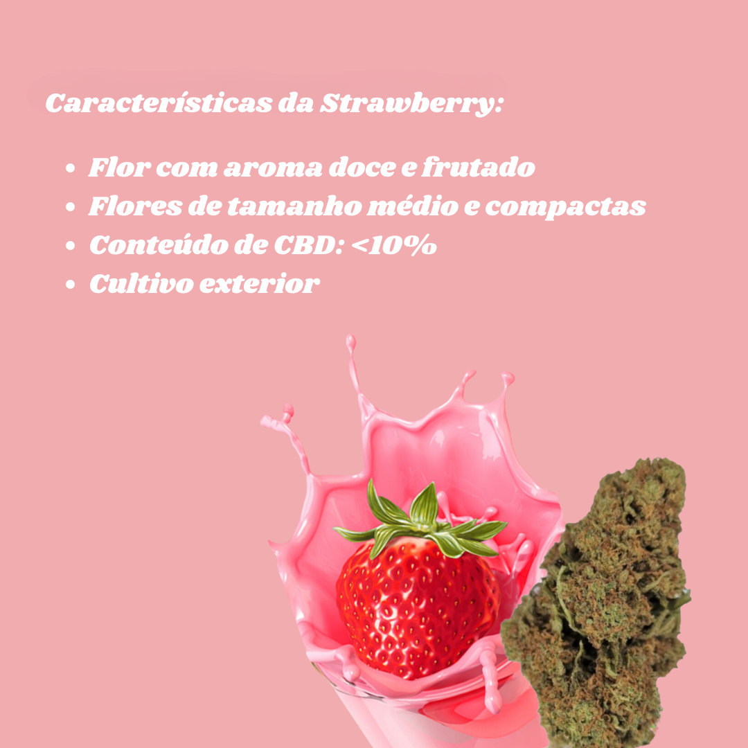 Strawberry CBD - Flores de CBD - Cânhamo - Erva - CBD - Canábis - Cannabis - WeedZone