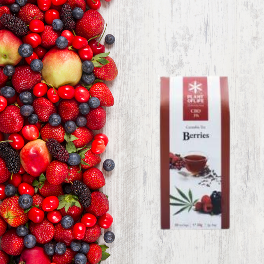 chá de frutos vermelhos cbd - chá de cbd - chá de canhamo - weedzone