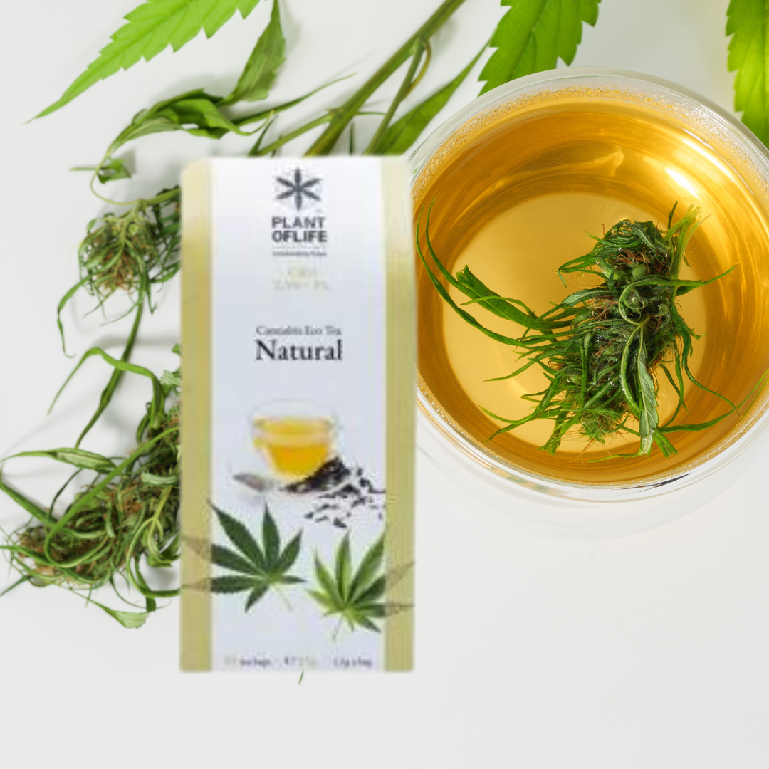 chá de cbd - chá de cânhamo - cbd - weedzone