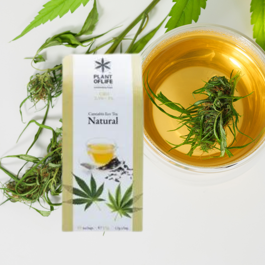 chá de cbd - chá de cânhamo - cbd - weedzone