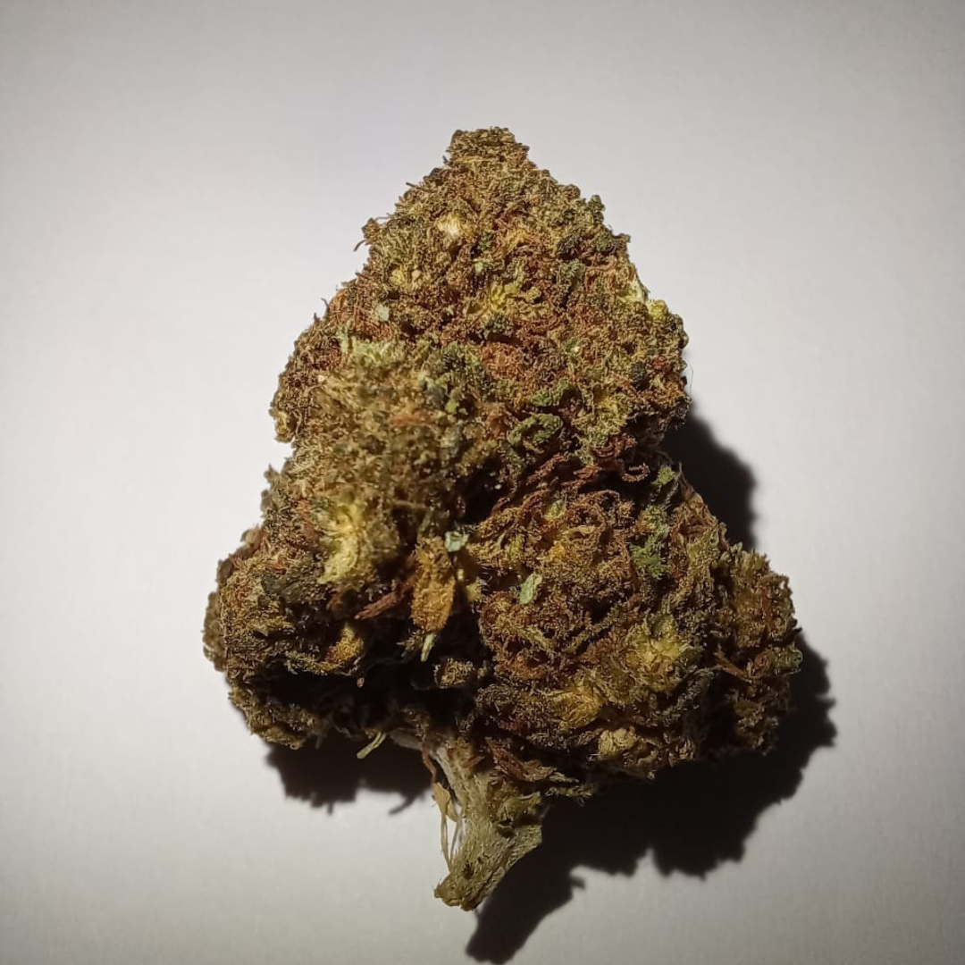Amnesia CBD - Flores de CBD - Cânhamo - Erva - CBD - Canábis - Cannabis - WeedZone