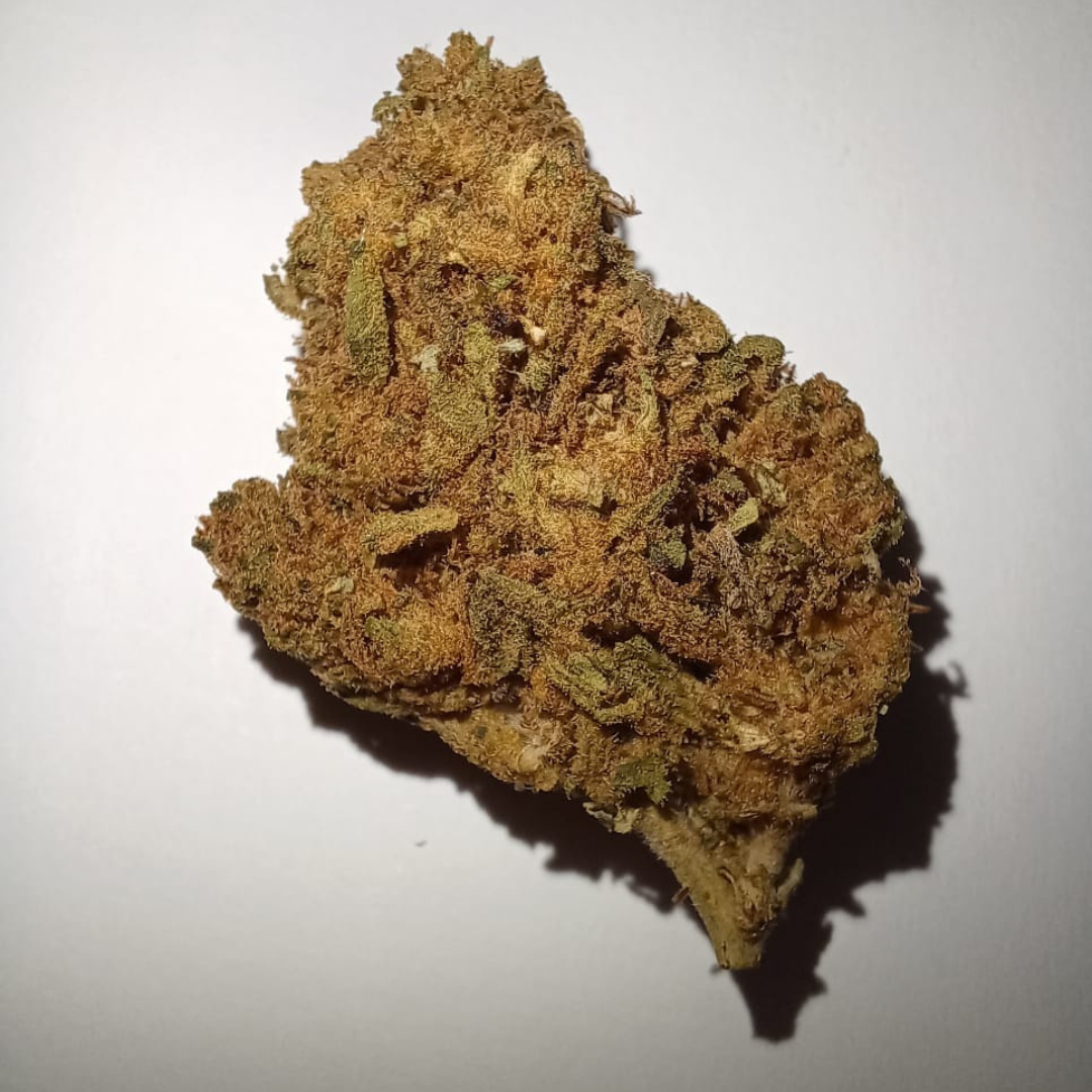 Gorilla Glue CBD - Flores de CBD - Cânhamo - Erva - CBD - Canábis - Cannabis - WeedZone