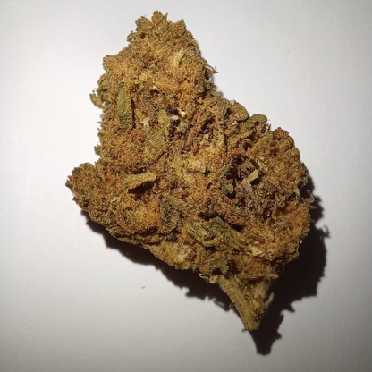 Gorilla Glue CBD - Flores de CBD - Cânhamo - Erva - CBD - Canábis - Cannabis - WeedZone