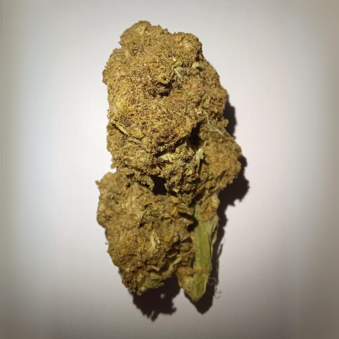 Lemon Haze CBD - Flores de CBD - Cânhamo - Erva - CBD - Canábis - Cannabis - WeedZone