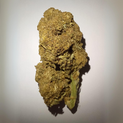 Lemon Haze CBD - Flores de CBD - Cânhamo - Erva - CBD - Canábis - Cannabis - WeedZone