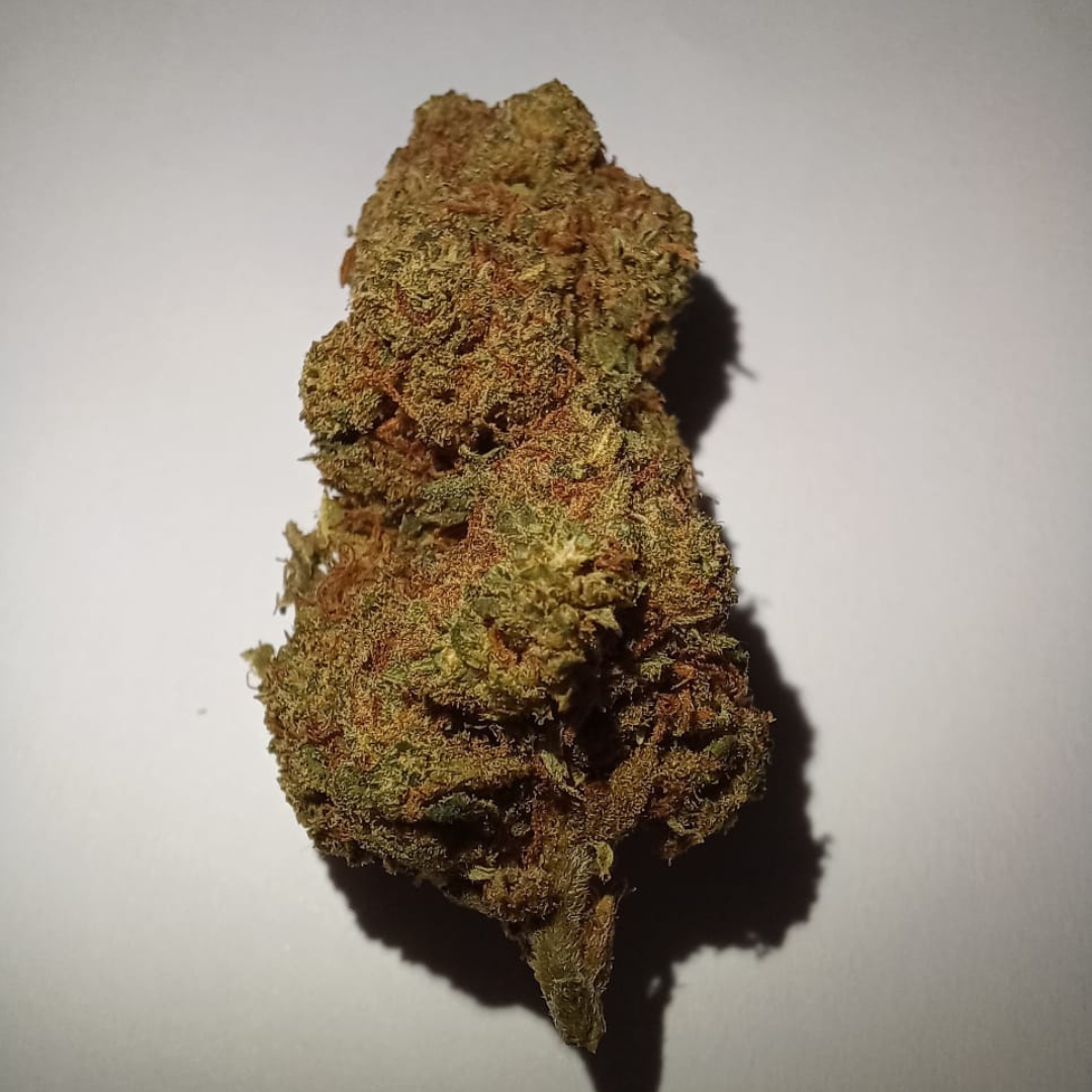 Strawberry CBD - Flores de CBD - Cânhamo - Erva - CBD - Canábis - Cannabis - WeedZone
