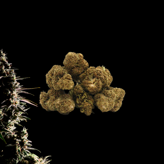 Og Kush CBD - Flores de CBD - Cânhamo - Erva - CBD - Canábis - Cannabis - WeedZone