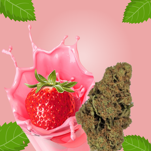 Strawberry CBD - Flores de CBD - Cânhamo - Erva - CBD - Canábis - Cannabis - WeedZone